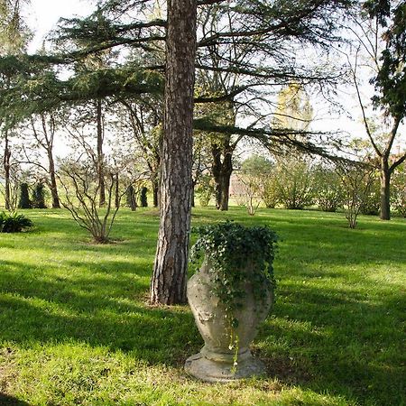 サン・ラッザロ・ディ・サーヴェナ Podere San Giulianoヴィラ エクステリア 写真
